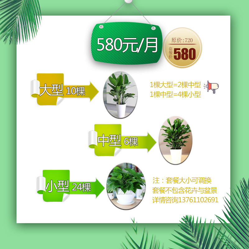 上海绿植租赁公司这样培育马德里