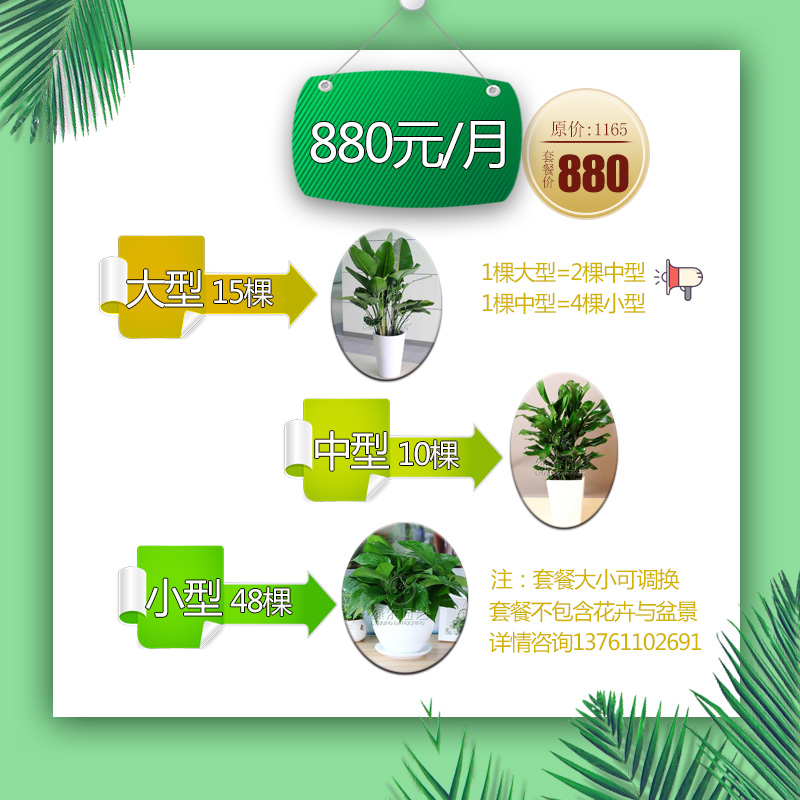 880元租赁套餐