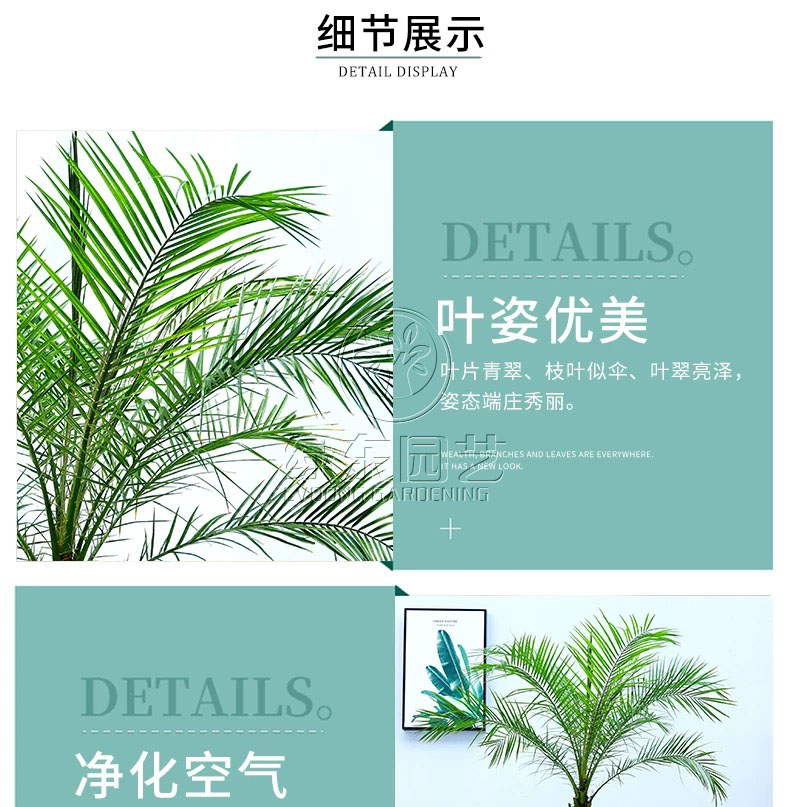 上海办公室绿植租赁-----什么样的盆栽绿植适合新手养植