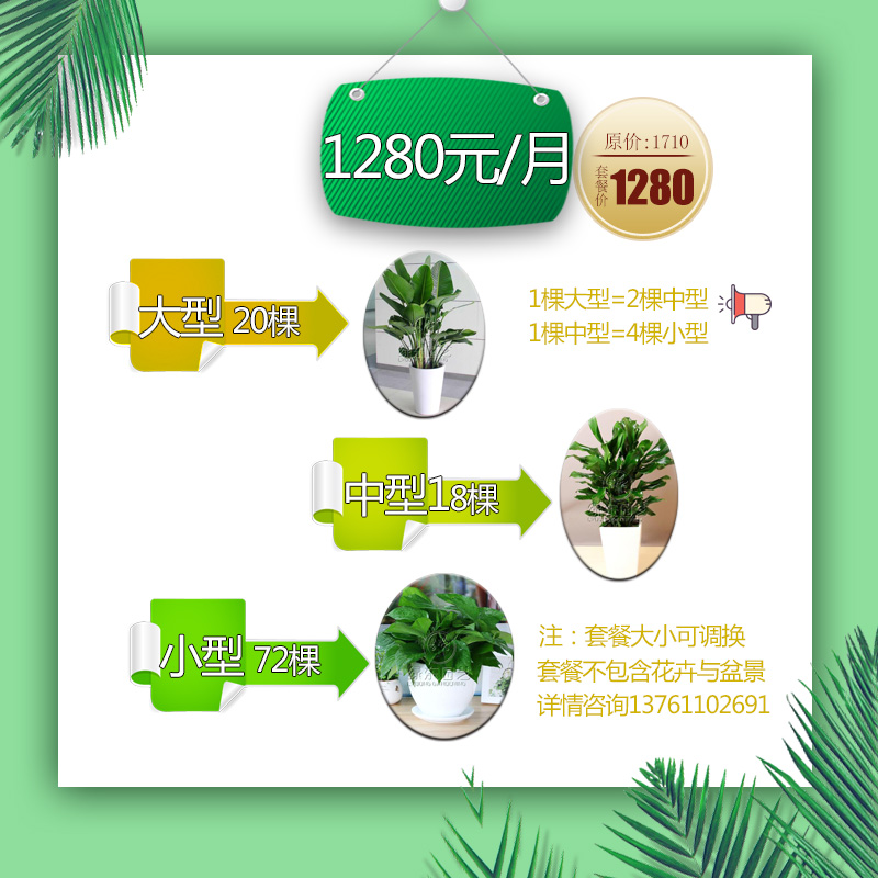 绿植养护太麻烦？聪明的老板这样选