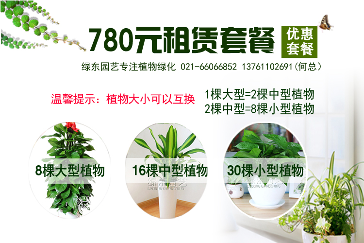 办公室绿植租赁有几种收费的方式？