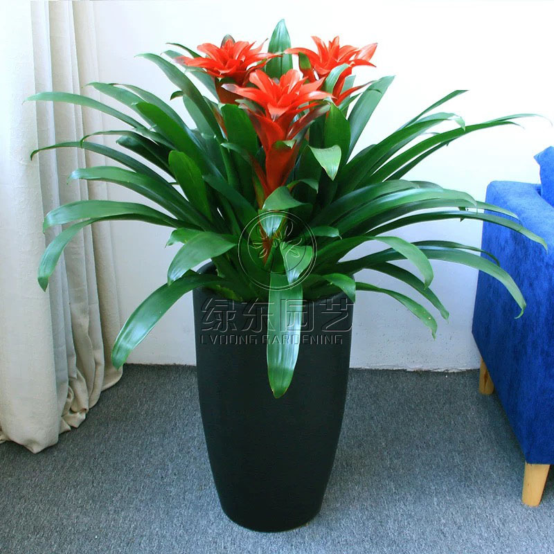 别墅花园施工养护
