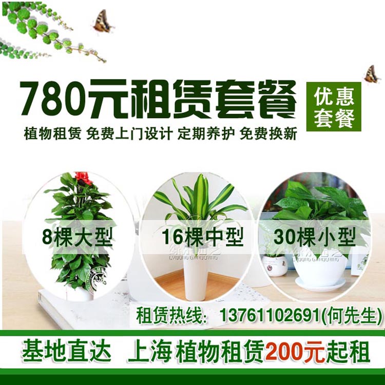 盘点十大耐阴性强的办公室花卉 　　