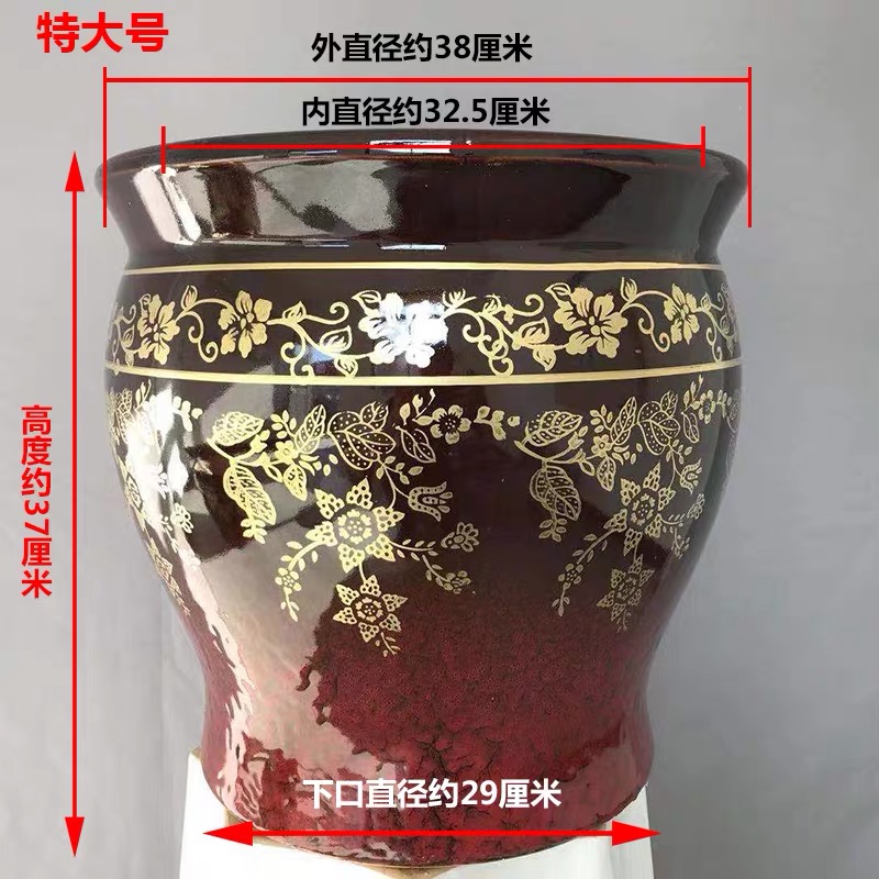 发财树养护指南：科学培育与情感联结的双向奔赴