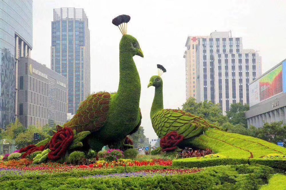 绿植租赁：都市空间的绿色焕新革命