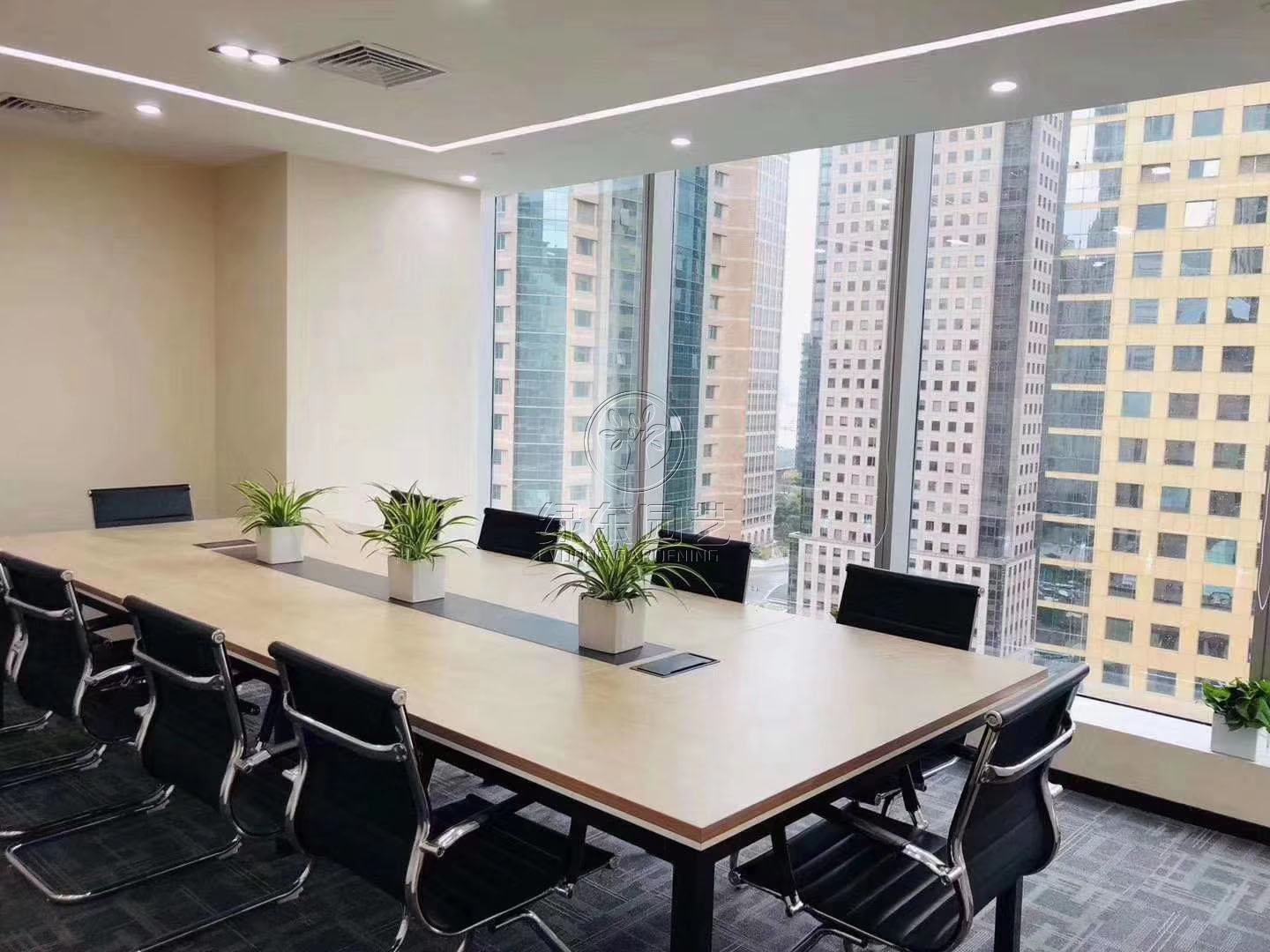 专家的新发现苏州植物租摆介绍